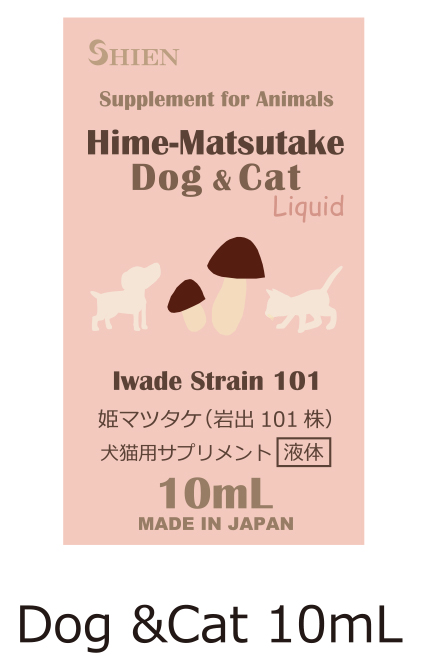 姫マツタケ（岩出101株） シエン