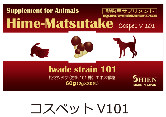 姫マツタケ（岩出101株） シエン