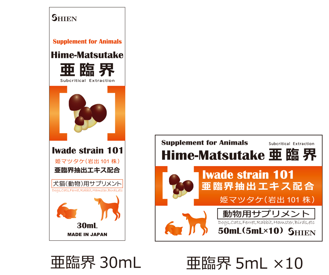 姫マツタケ（岩出101株） シエン
